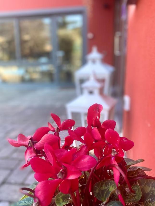 La casina rossa Affittacamere La Spezia Esterno foto